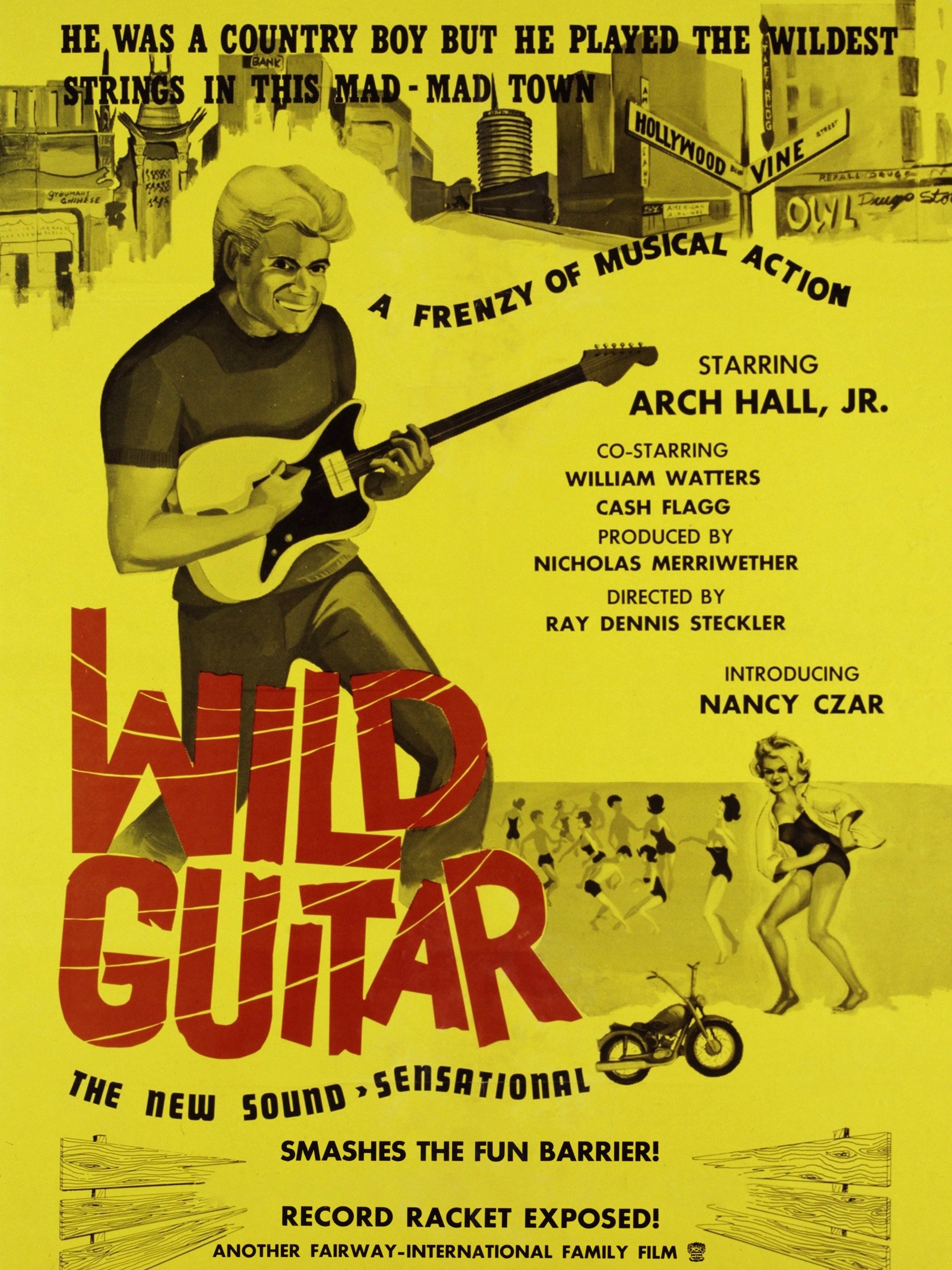Wild_Guitar_1